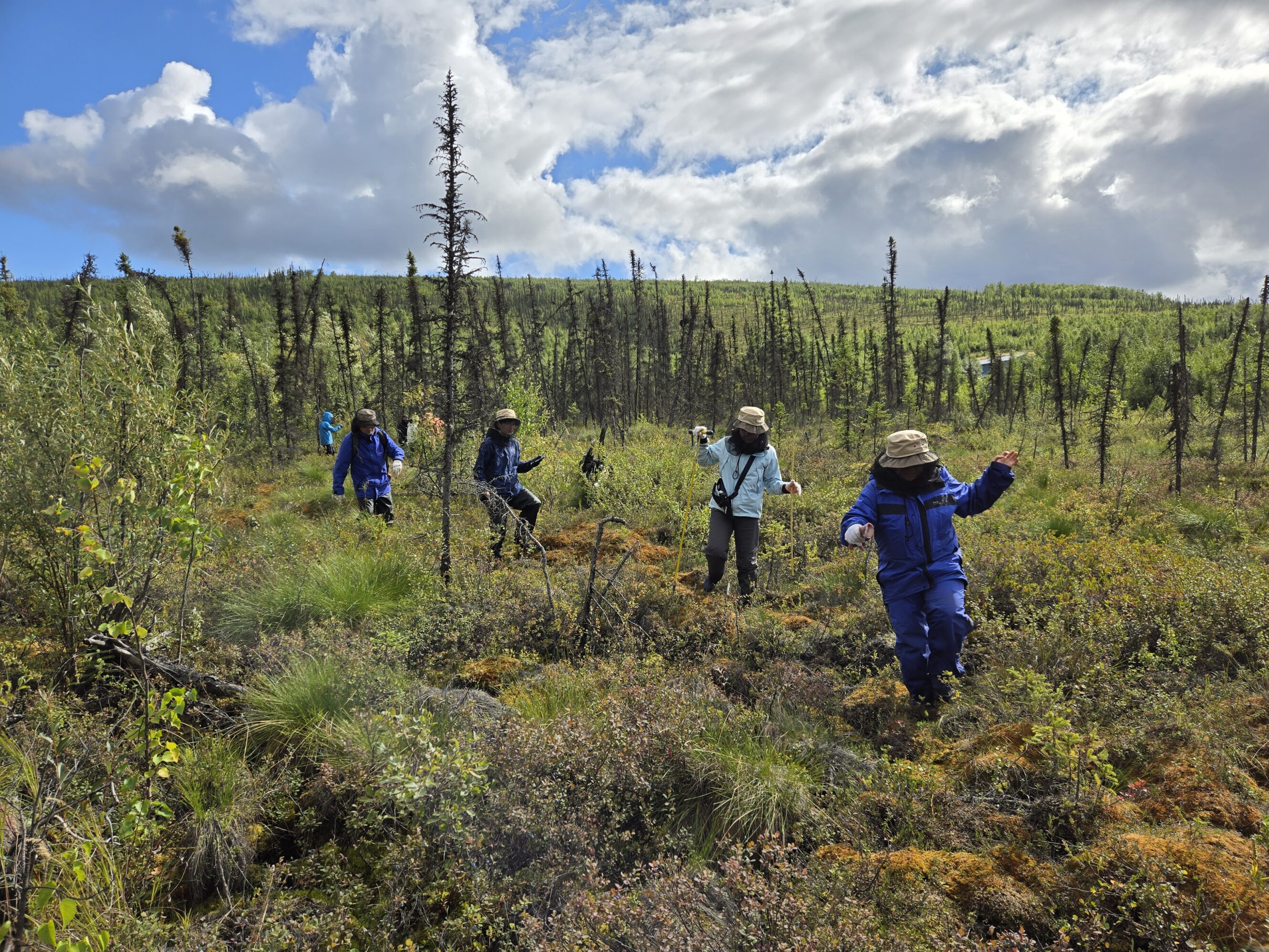 アラスカ大学フェアバンクス校ロゴフリース裏地ナイロンブルゾン2WAYビッグサイズ